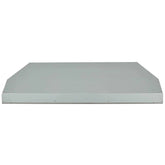 Coyote 48" Outdoor Vent Hood Insert - C1LINER48